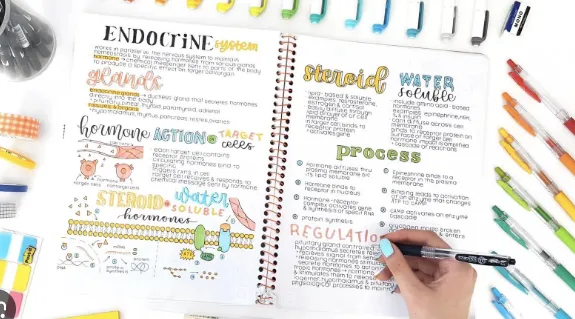 How to Take Effective IB Notes | Lanterna Education